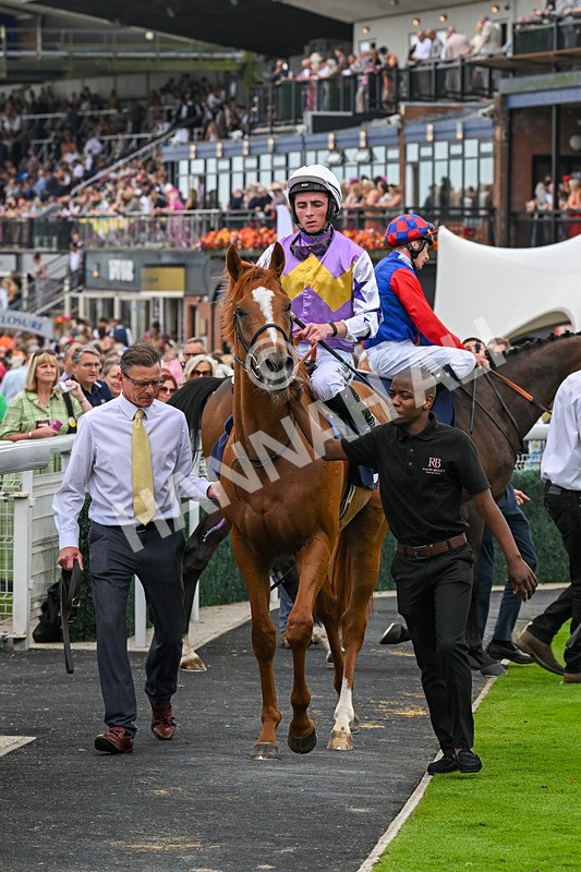 140824-Race 2-Stanhope Gardens-6081 - Race 2