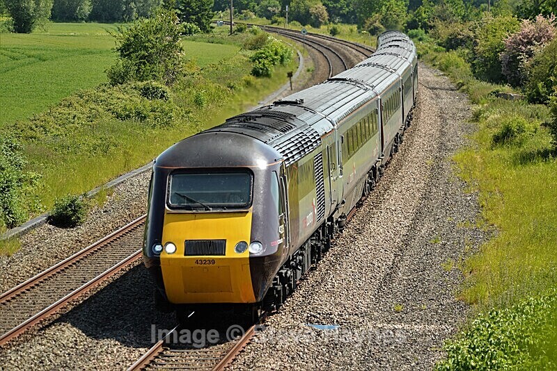 29th May 2023 - Creech St. Michael, Somerset.