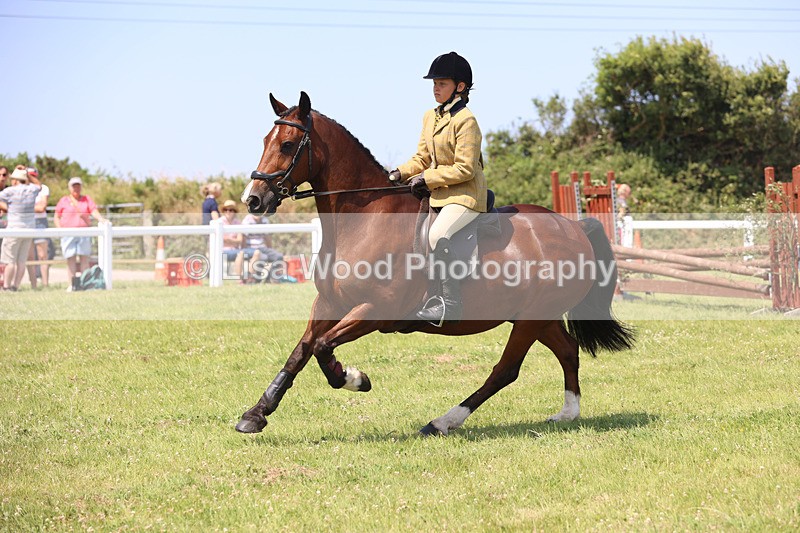 JPP_2989 - Class 22: Working Hunter 70cm