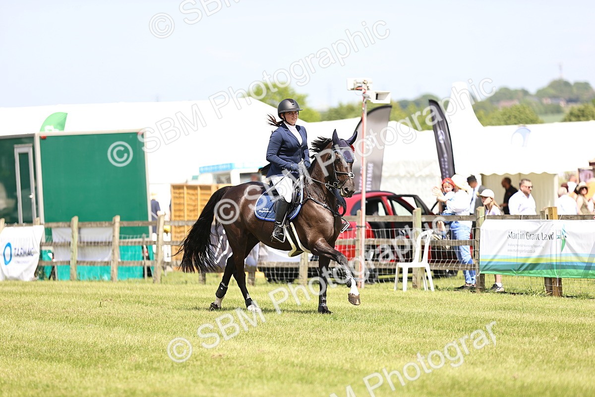 SBM_04088 - Class 201 - British Horse Feedds Speedi Beet HOYS Grade C