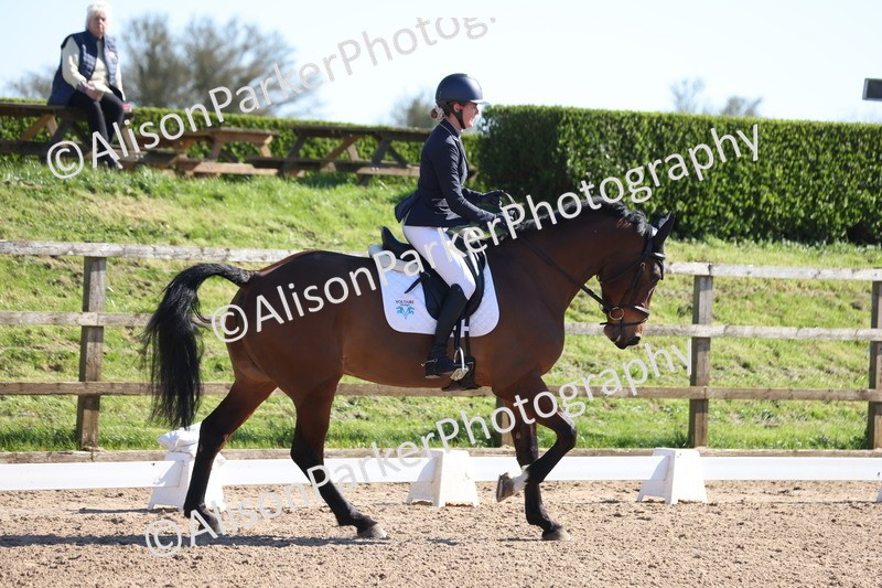 20260318-0446 - Class 5 - Novice 2