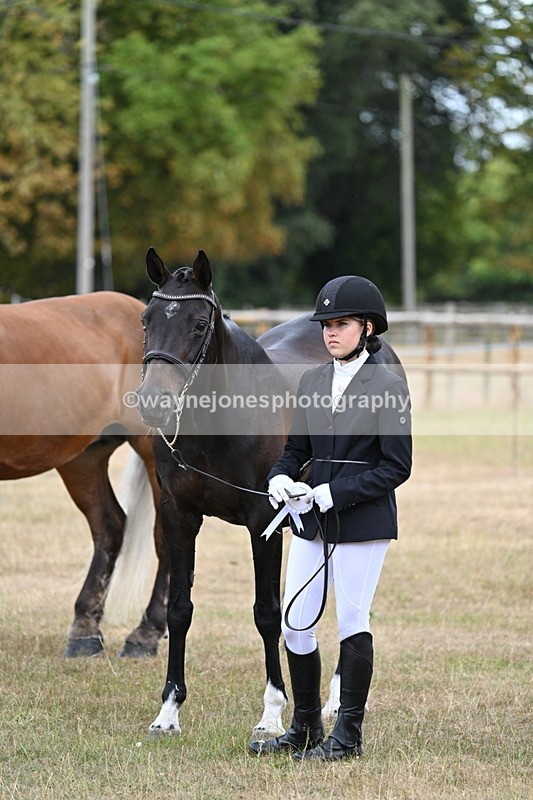 WJ7_9286 - Class 4a Prettiest Mare 14.2hh and over