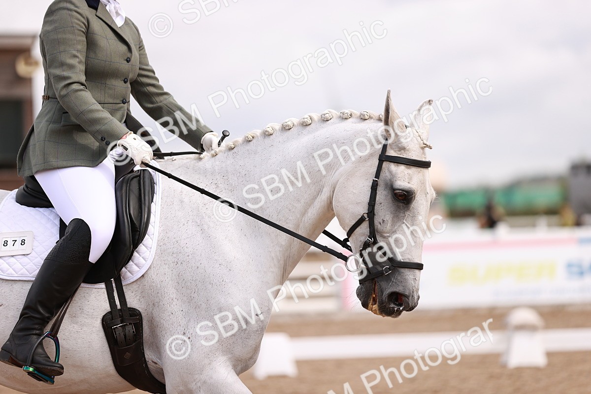 SBM_04075 - Class 36 - Prelim 5