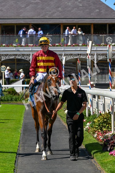 110725-Race 3-Bosa Nova-0276 - Race 3 3.20pm Ire-Incentive, It Pays To Buy Irish EBF Fillies' Novice Stakes