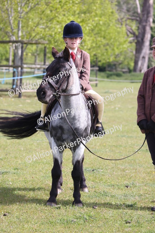 20260426-2532 - Class 31 - Leading Rein