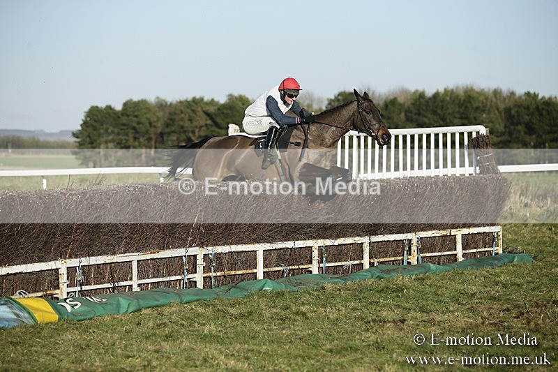 PtP 070118 -460 - Larkhill Racing Club Point to Point Larkhill 07/01/2018