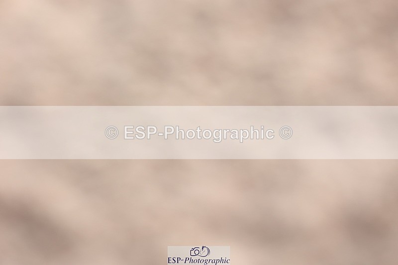240714A-150031-02564 - Cls 14-15-16  CR & 60cm