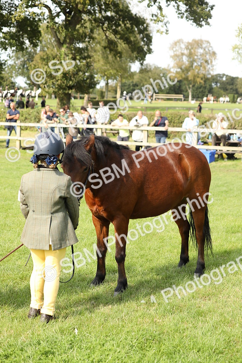 SBM_68585 - S40 - Junior Handler 9-12 Years