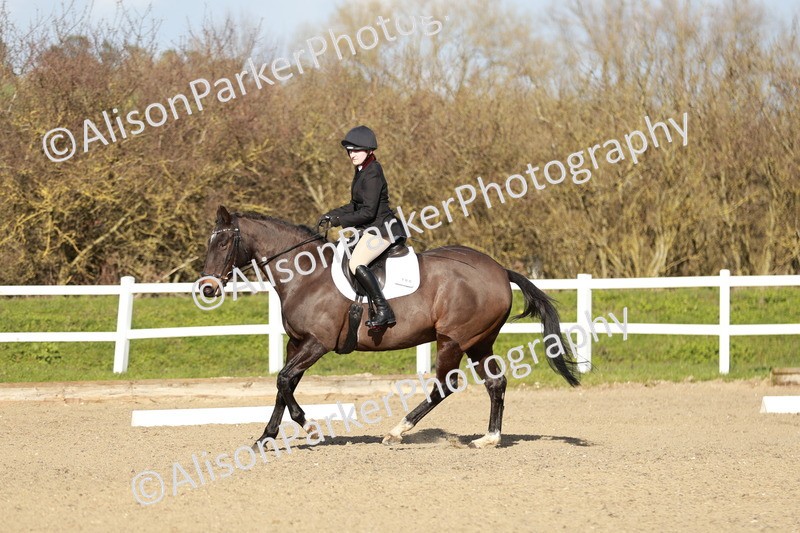 20260314-5356 - DR4 - Prelim 2