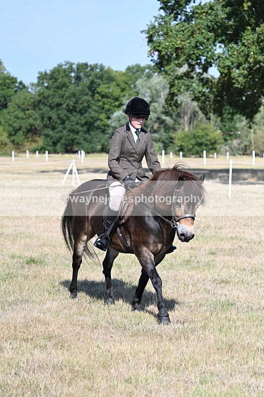 WJ7_2936 - Class 8 Ridden Tack & Turnout