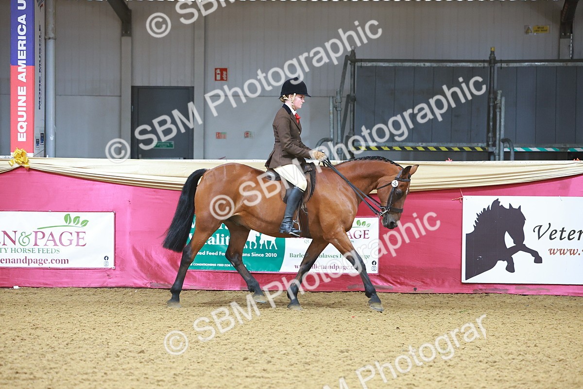 SBM_07577 - Class 101 - HOYS Veteran Qualifier - Ridden Diamond