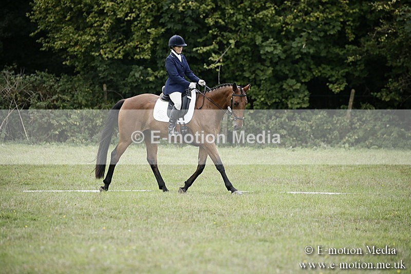BVR090918 319 - BVRC Dressage and Show Jumping 09/09/18