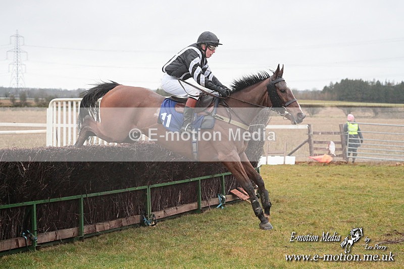 PtP 260125 364 - Cocklebarrow Point-to-Point racing with the Heythrop Hunt 26/01/25
