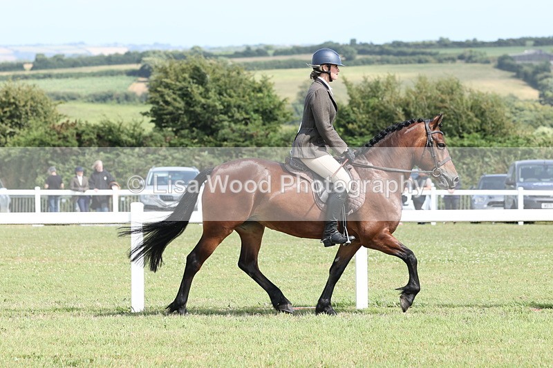 JPP_2273 - Class 19: Working Hunter 60cm