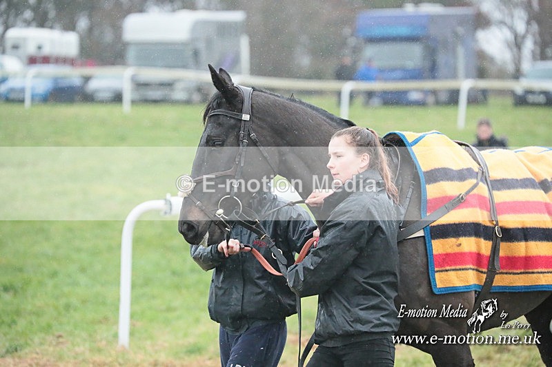 PtP 101223 161 - New Forest Hounds PtP Larkhill 10/12/23