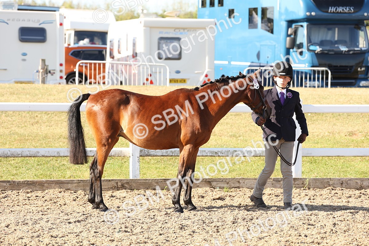 SBM_11641 - Class 203 - Young Handler 11 to 16 years