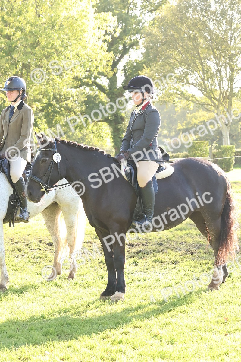 SBM_52662 - S13 - Pony Club Pony