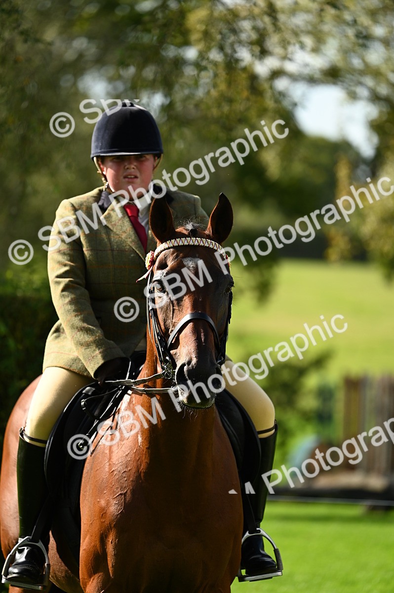 SBM_01633 - S2 - TSR Ridden Horse Showing