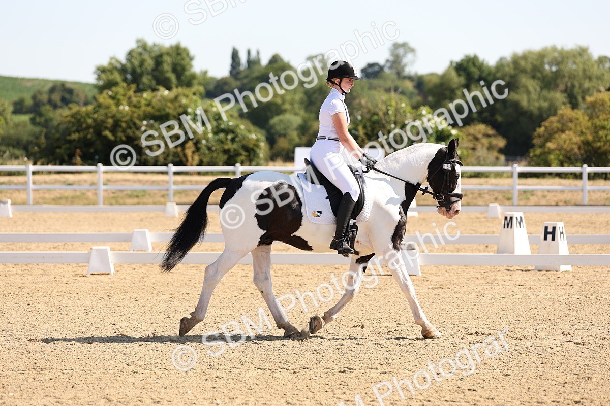 SBM_001000 - Intro 2