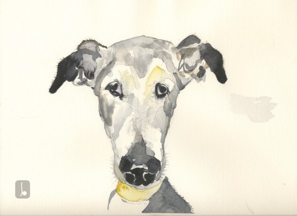 Alison Scott - Artists