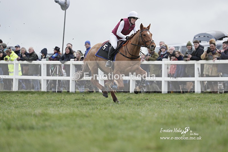 PtP 260323 0264 - New Forest Hounds Point-to-Point Larkhill 26/03/23
