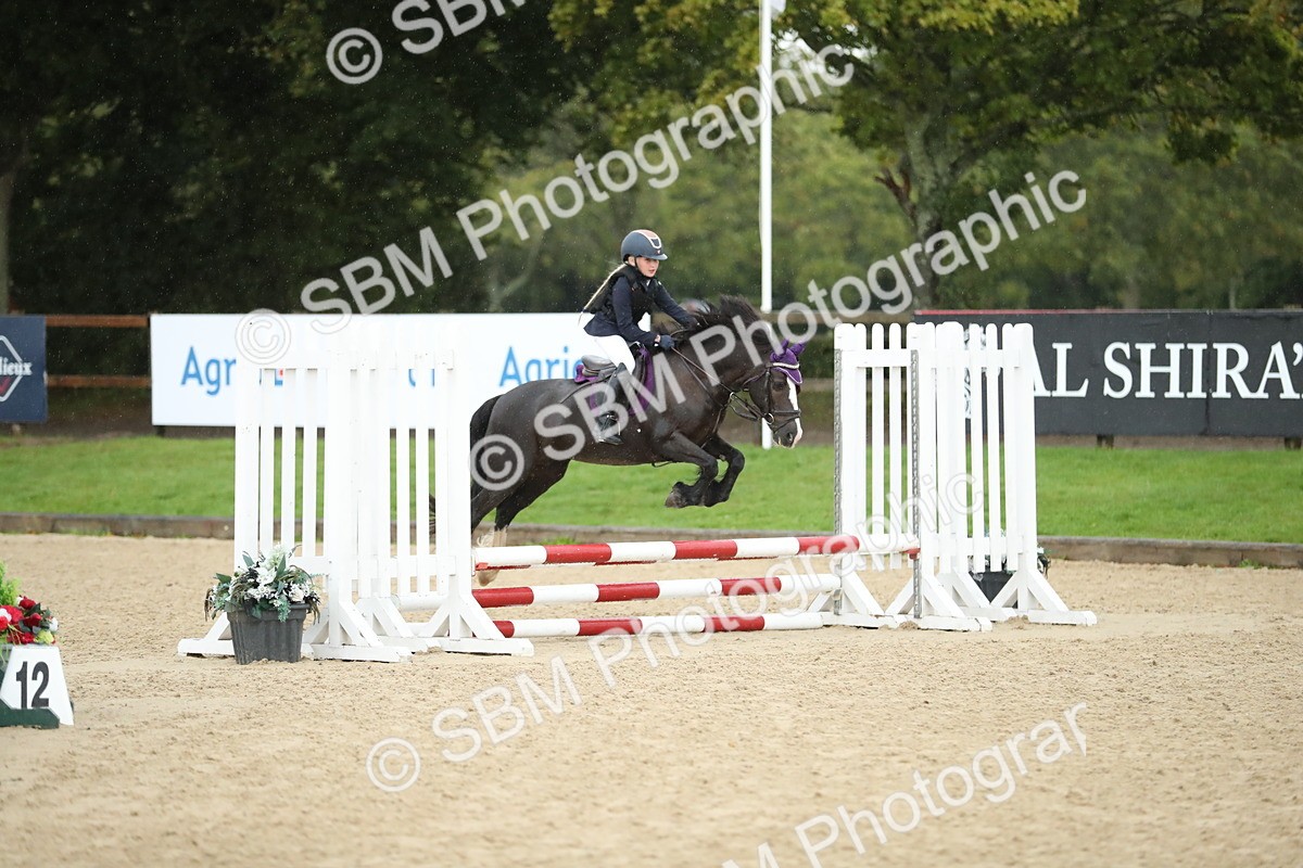 SBM_34347 - J60 Clear Round 50cm