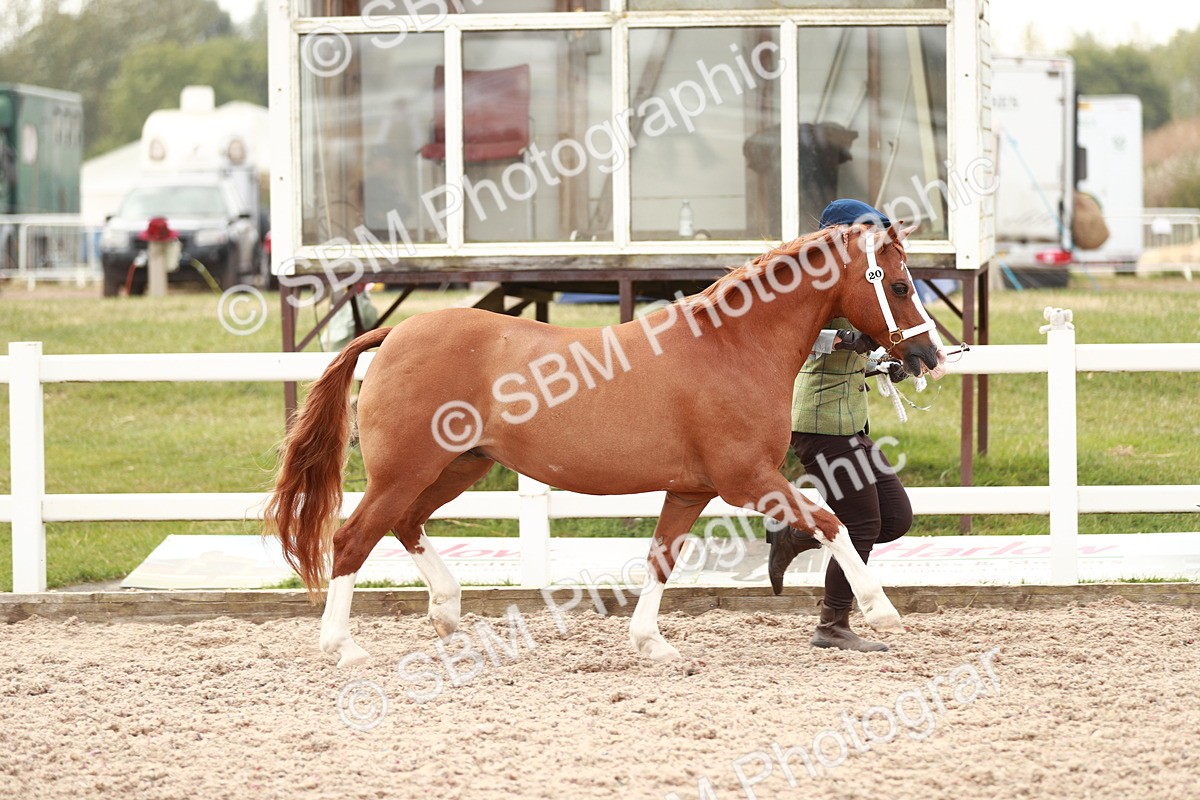 SBM_12478 - Class 207 IH M&M