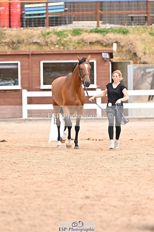 250716-153529-02032 - Trot Up 3.30 to 4.30