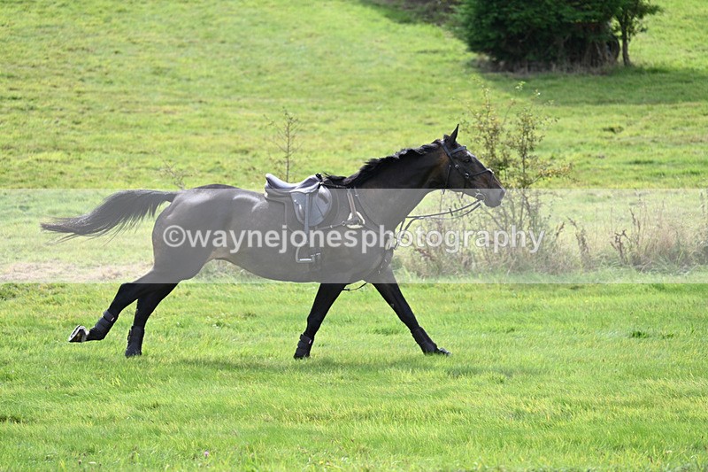 WJ7_7427 - Time 13:21 to 13:29