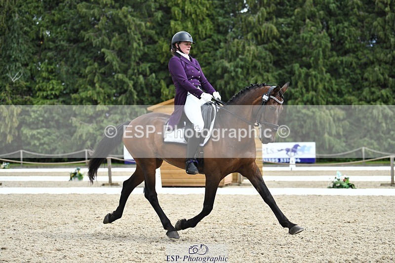 230812-134239-04486 - Cls 7 FEI PSG Bronze