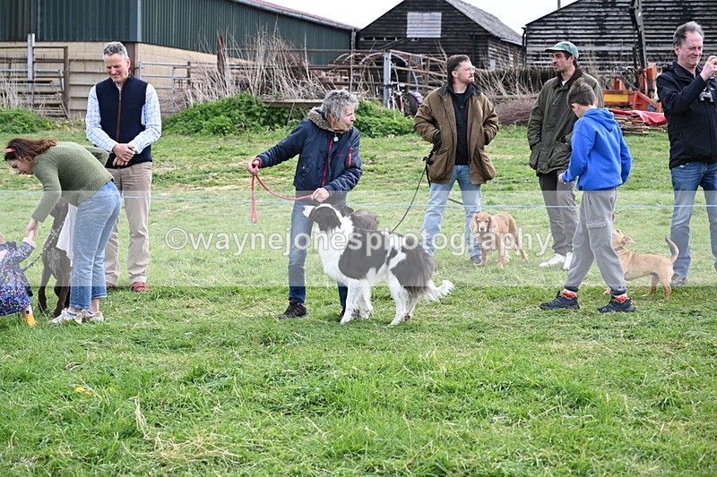 WJ6_8533 - Class 6 Best Rescue