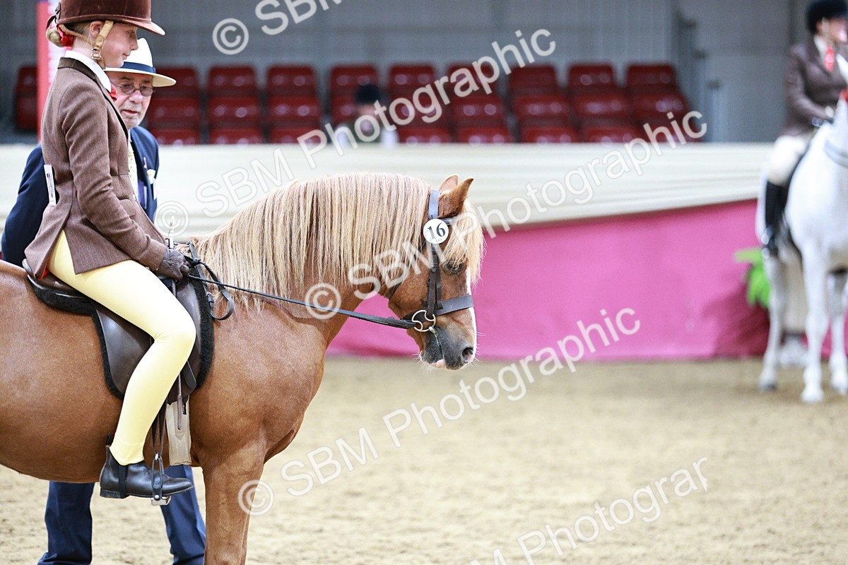 SBM_03567 - Class 6A Area Ridden Pre-Vet