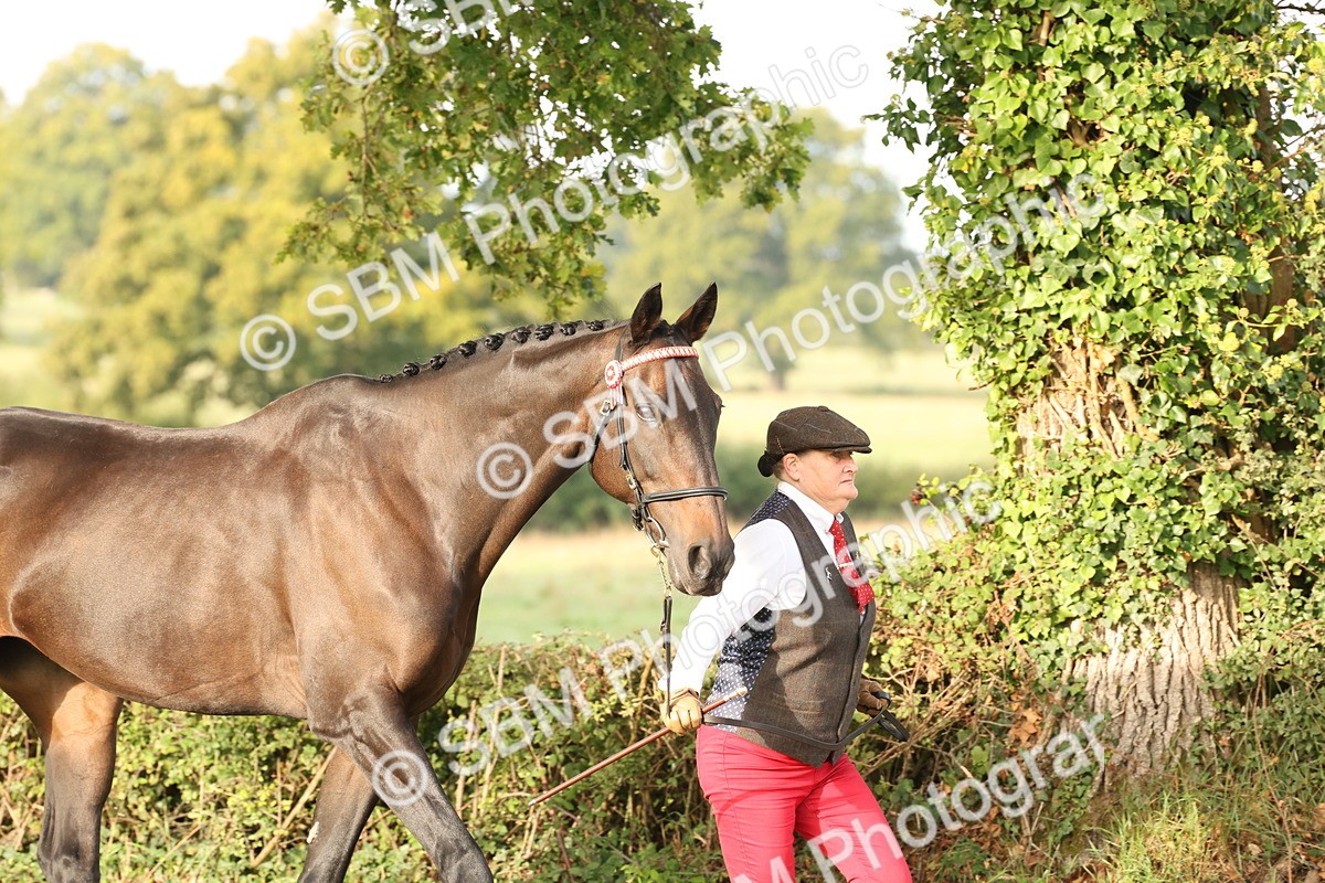 SBM_54658 - S53 - Hunter In Hand