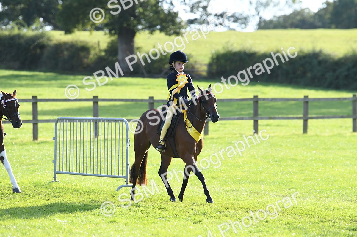 SBM_52460 - S22 - 1st Ridden Show & Show Hunter Pony