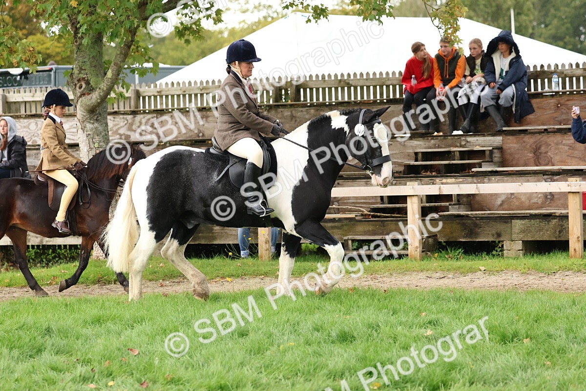 SBM_44952 - S27 - Young Veteran Ridden