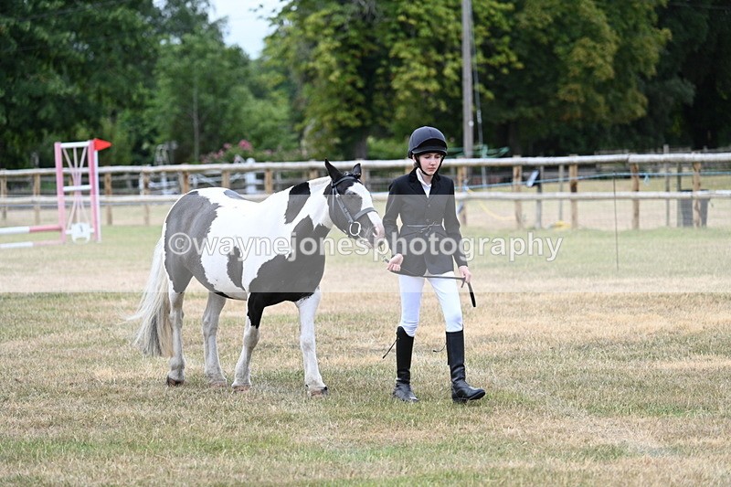 WJ7_1468 - Class 4 Prettiest Mare up to 14.2hh in hand