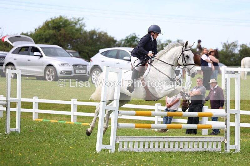 3E7A1830 - Class 13: Senior British Novice/90cm open