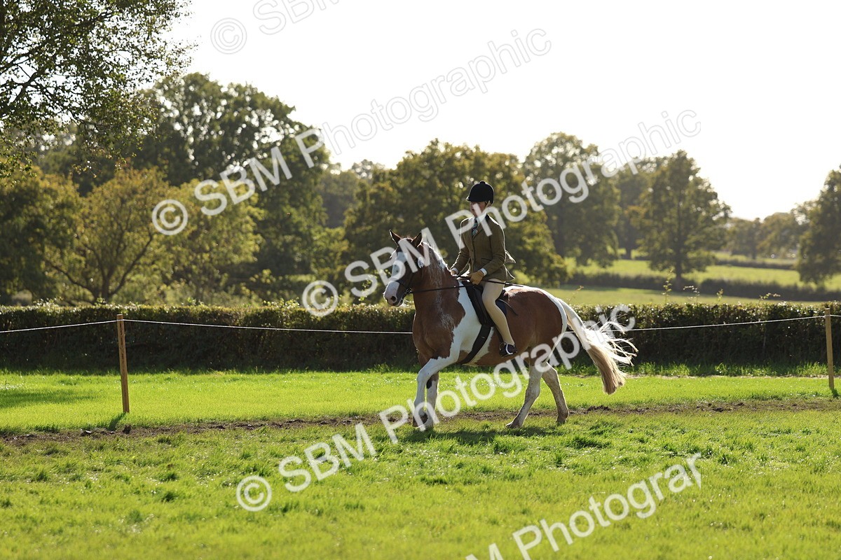 SBM_52450 - S13 - Pony Club Pony