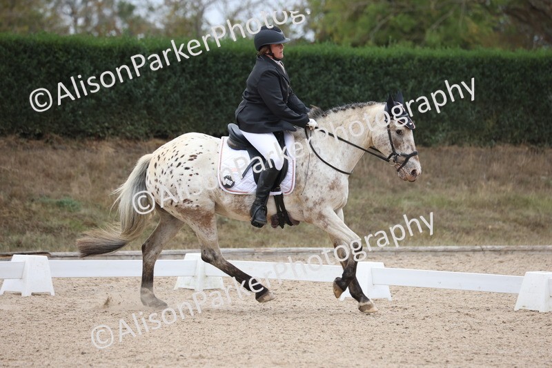 20250820-0290 - Class 9 - My Quest Prelim 3