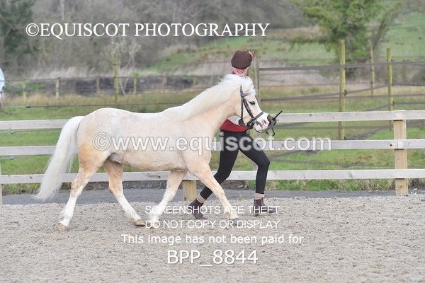 BPP_8844 - RING 2 - M&M