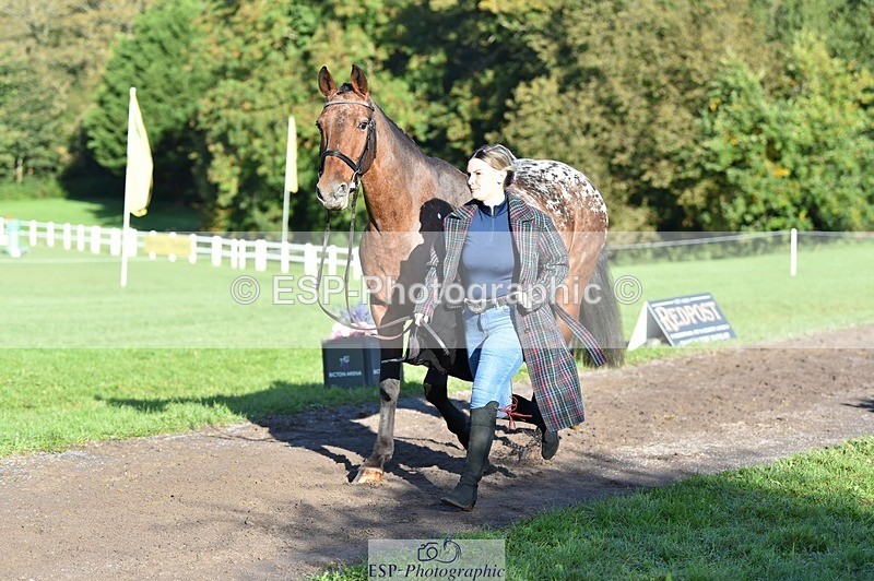 231022-100922-22270 - 482-ODDSPOT.VITAL.ELEMENT-Danielle.Davies-TrotUp+SJ