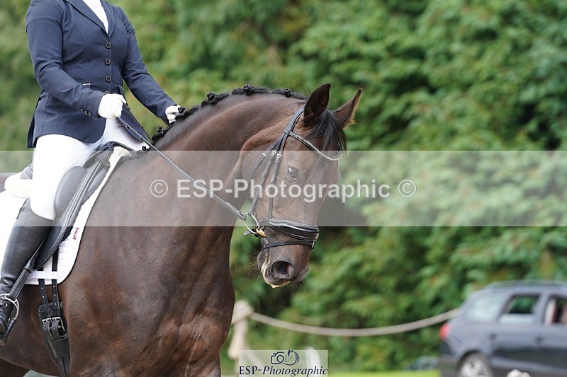 240721-151922-10047 - 206-Sian_Axten-MSJ_Gabriella