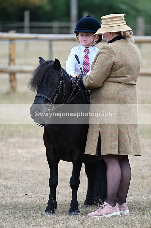 WJ7_8202 - Class 4 Prettiest Mare up to 14.2hh