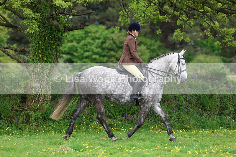 3E7A1110 - Class 7: Ridden Hunter Type