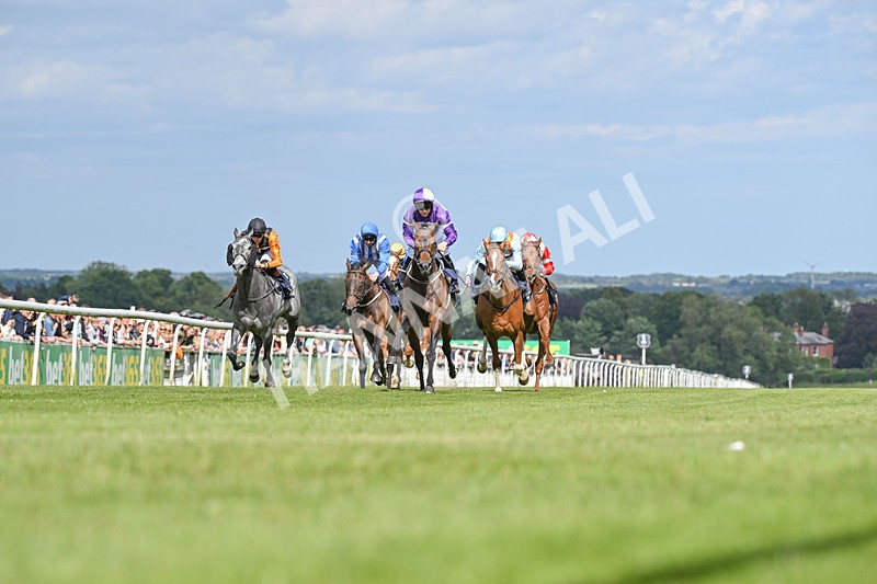 080624-Race 5-Ludos Landing-7456 - Race 5