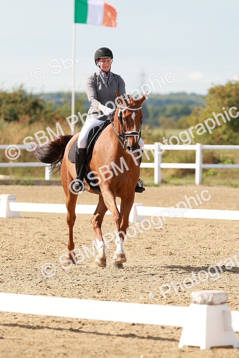 SBM_002566 - Class 11 - Medium 6