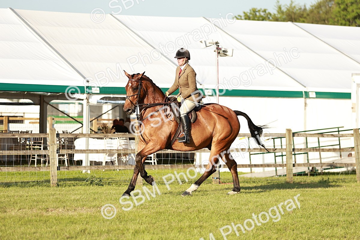 SBM_20475 - Class 117-119 - Sport Horse Working Hunter