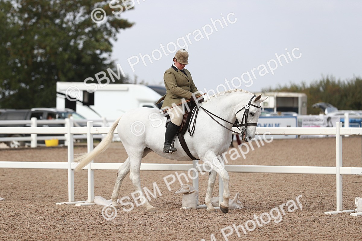 SBM_14796 - Class 212 Ridden Hunter - Small