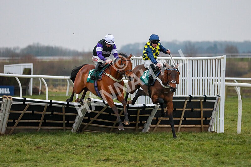 310125-Race 7-Balcomie Breeze-4717 - Race 7