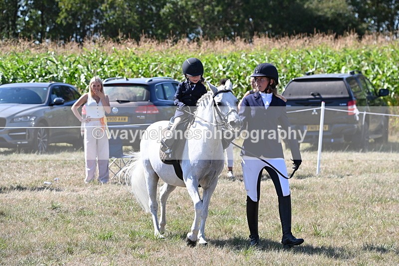 WJ6_8023 - Class 36 Lead Rein